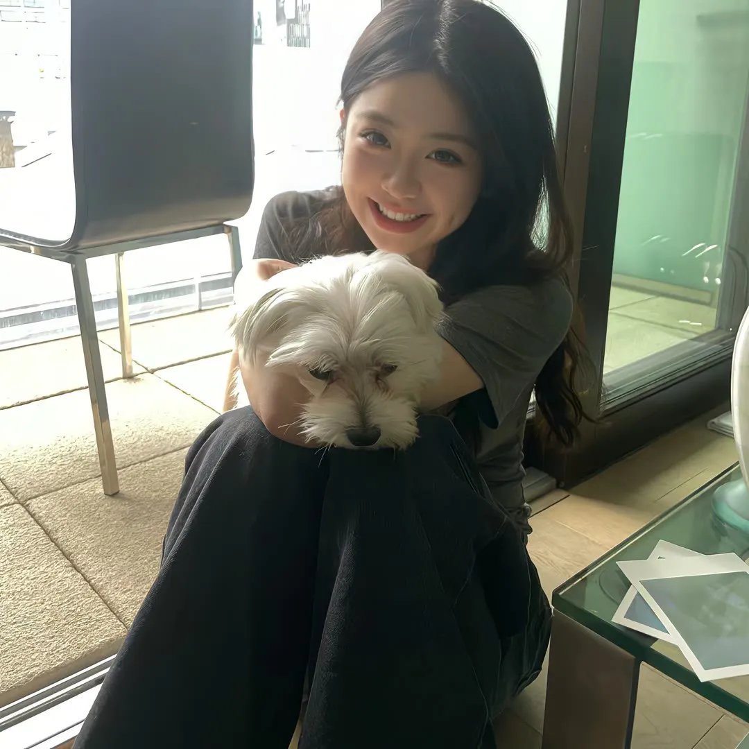 模犯生 封面